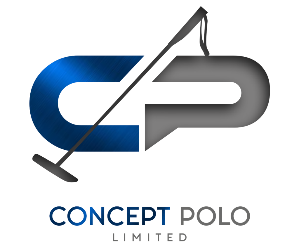 Consulting Concept Polo logo