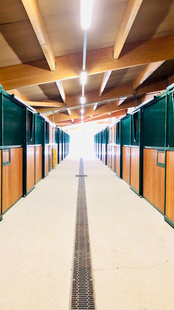 Stables polo jumping dressage