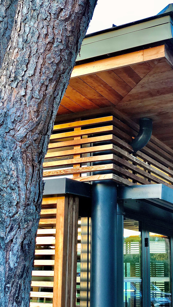 Nature Global Projects Gym