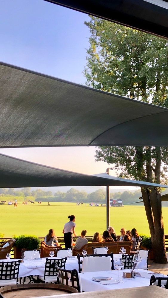 Concept Projects polo fields
