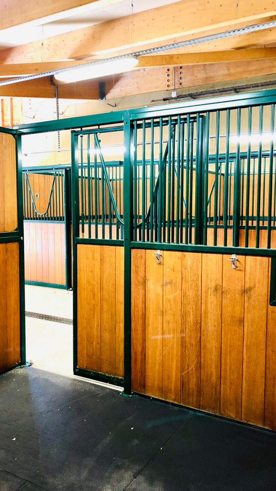 Stables polo jumping dressage Equestrian Training Ecological