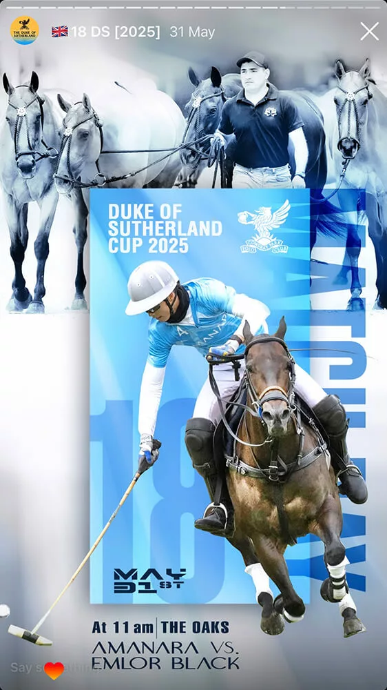 marketing polo creation