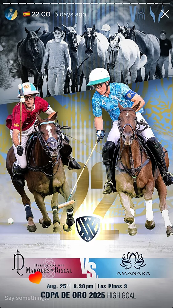 marketing polo creation