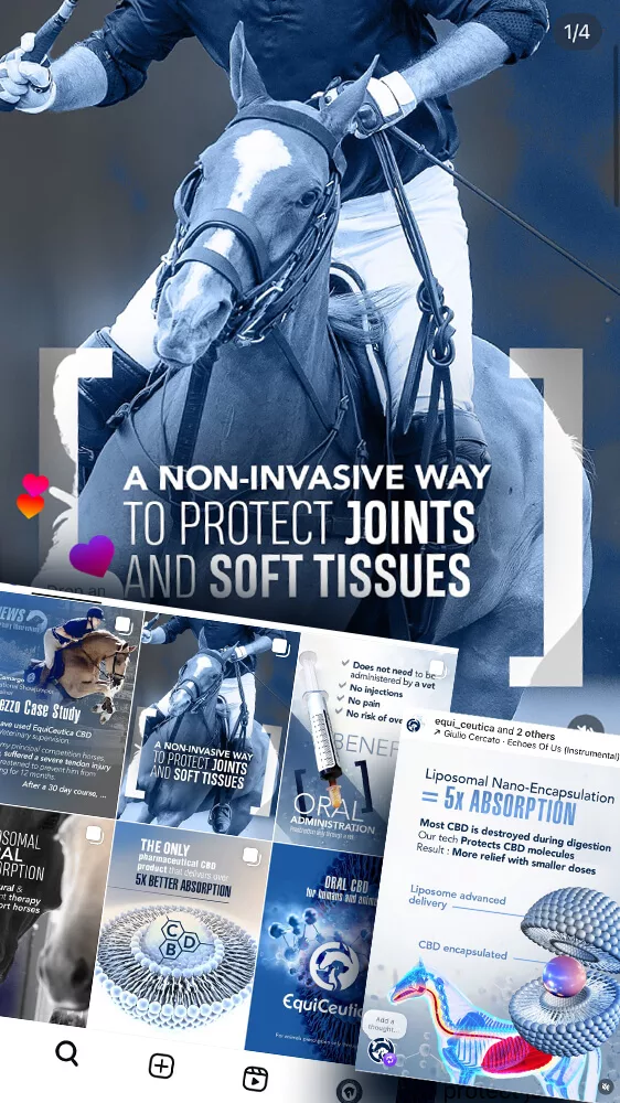 marketing polo creation