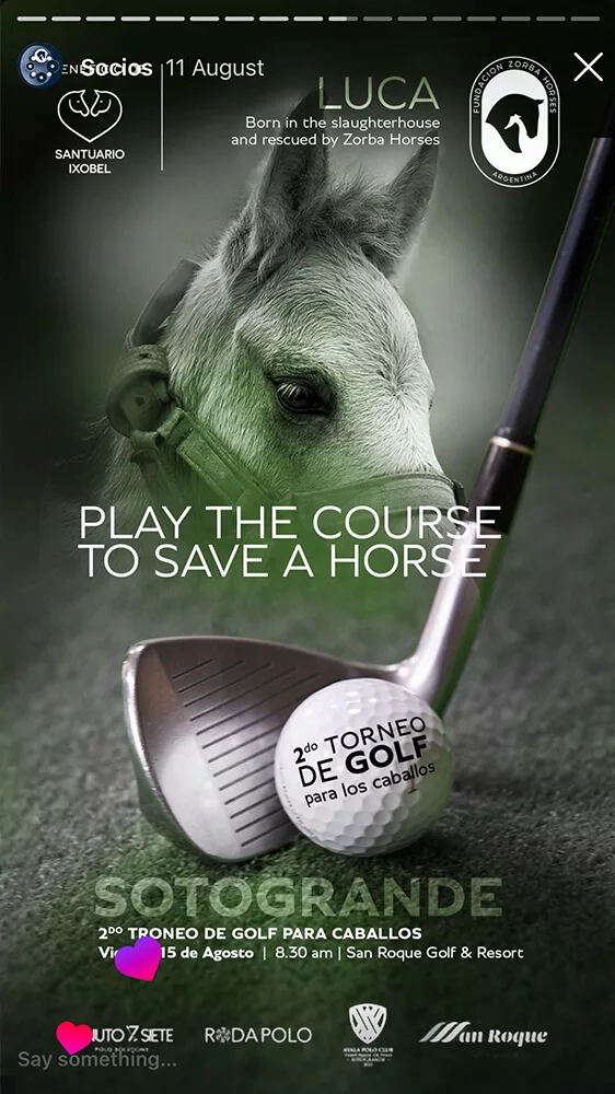 marketing polo creation