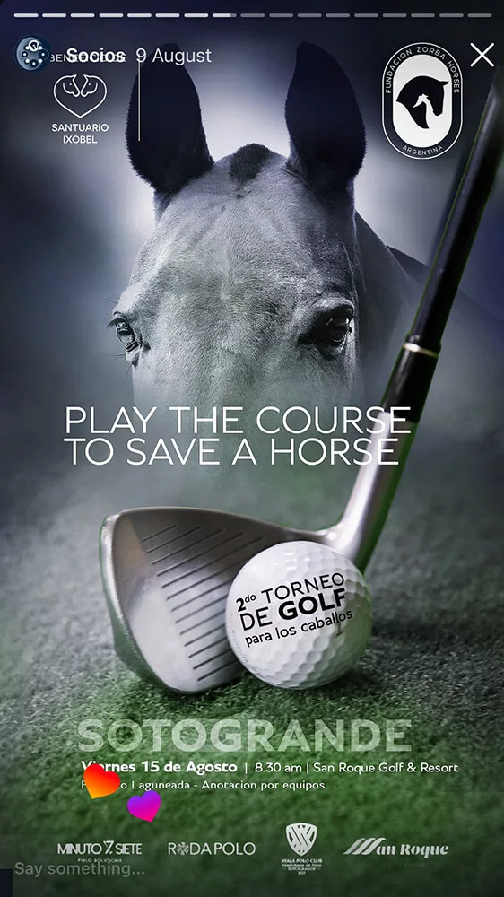 marketing polo creation