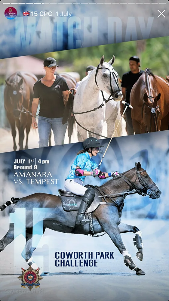 marketing polo creation